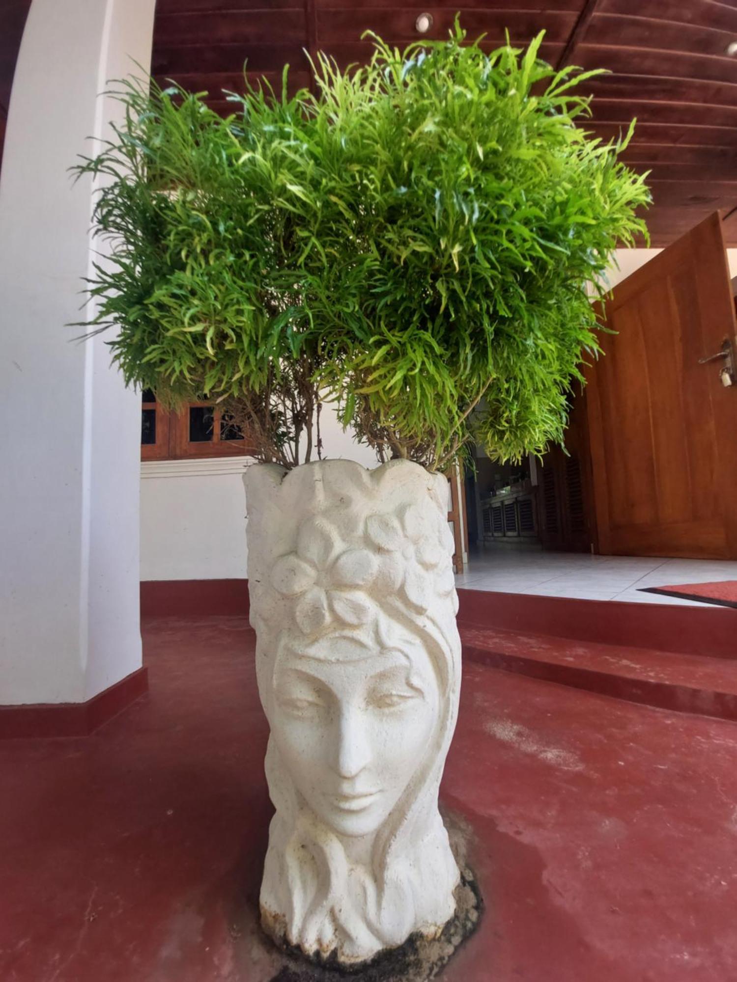 Villa Czech House Tangalle Exterior foto