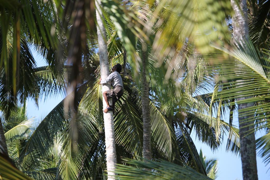 Villa Czech House Tangalle Exterior foto